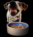 Snarling dog and food bowl found on oztreasure.weebly